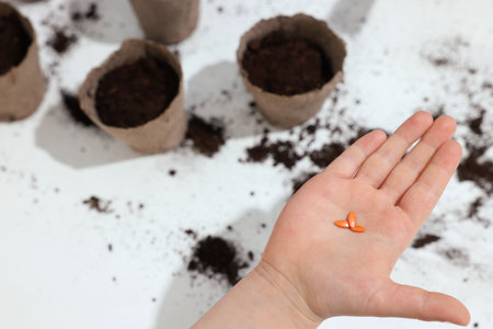 Little girl holding vegetable seeds at white table, closeup. Space for text
