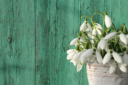 Beautiful snowdrops in vase near green fence, closeup. Space for textの写真素材