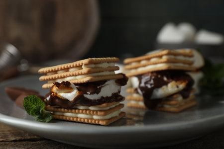 Delicious marshmallow sandwiches with crackers and chocolate on gray plate, closeup