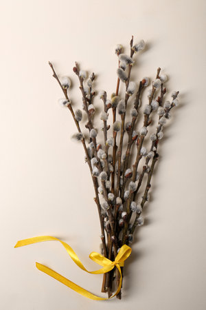 Beautiful blooming willow branches tied with yellow ribbon on beige background, top viewの写真素材