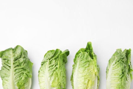 Fresh green romaine lettuces isolated on white, top viewの写真素材