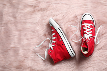 Pair of stylish red shoes on faux fur rug, flat lay. Space for textの写真素材