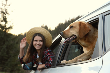 Adorable dog and happy woman looking out of car window in mountains. Traveling with petの写真素材