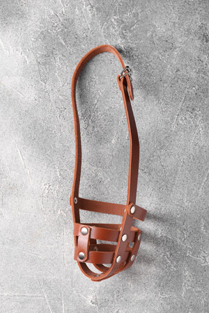 Brown leather dog muzzle on light gray textured table, top viewの写真素材