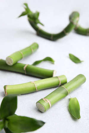 Pieces of beautiful green bamboo stems on light backgroundの写真素材