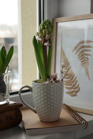 Beautiful bulbous plants on windowsill indoors. spring time