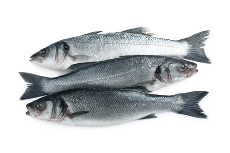 Fresh sea bass fish on white background, top viewの写真素材