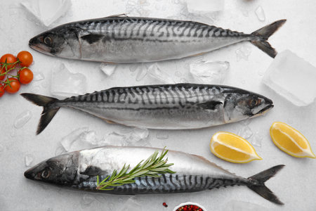 Raw mackerel, tomatoes and lemons on light gray table, flat layの写真素材