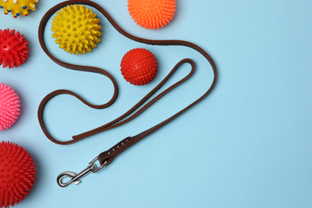 Flat lay composition with dog leash and toys on light blue background, space for textの写真素材