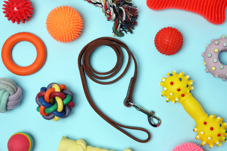 Flat lay composition with dog leash and toys on light blue backgroundの写真素材
