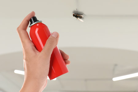 Woman spraying insect aerosol on fly in room, closeupの写真素材