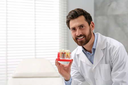 Doctor demonstrating educational model of dental implant in clinic, space for text