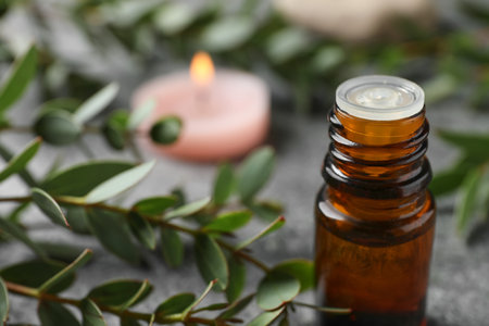 Bottle of eucalyptus essential oil and plant branches on gray table, space for textの写真素材