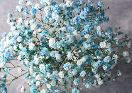 Beautiful dyed gypsophila flowers on light gray background, closeupの写真素材