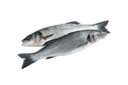 Fresh sea bass fish on white background, top viewの写真素材