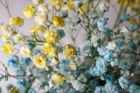 Many beautiful dyed gypsophila flowers on light gray background, closeupの写真素材