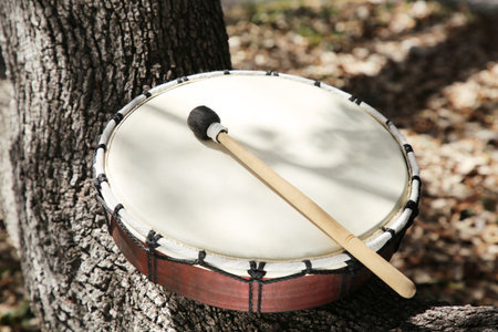 Drum with mallet on tree bark outdoors. Percussion musical instrumentの写真素材