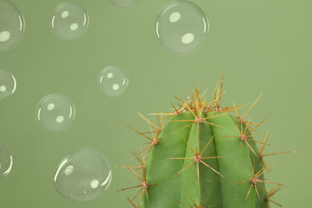Soap bubbles near cactus on light green backgroundの写真素材