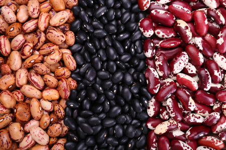 Different kinds of beans as background, closeupの写真素材