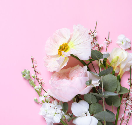 Different beautiful flowers on pink background, flat layの写真素材