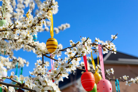 Beautifully painted Easter eggs hanging on blooming cherry tree outdoorsの写真素材