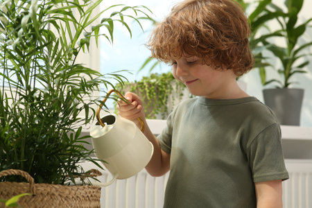 Cute little boy watering beautiful green plant at home. House decorの写真素材