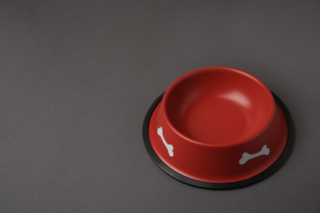 Empty red feeding bowl on dark gray background. Space for textの写真素材