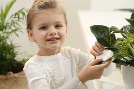 Cute little girl wiping plant's leaves with cotton pad at home. House decorの写真素材