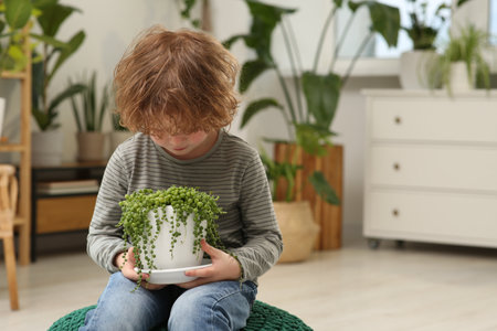 Cute little boy holding beautiful green plant at home. House decorの写真素材