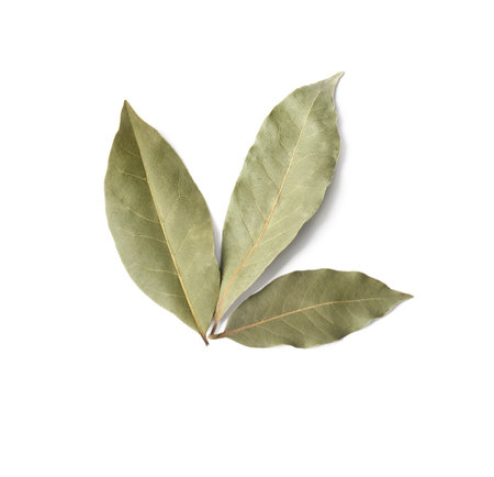 Aromatic bay leaves on white background, top view
