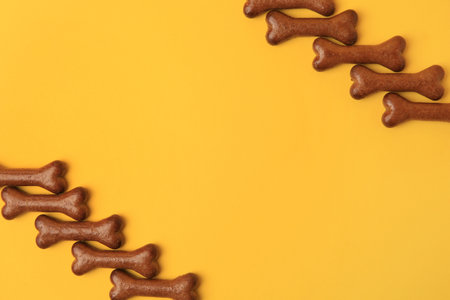 Bone shaped dog cookies on orange background, flat lay. Space for textの写真素材