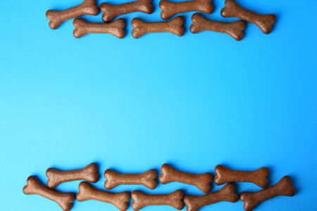 Bone shaped dog biscuits on light blue background, flat lay. Space for textの写真素材