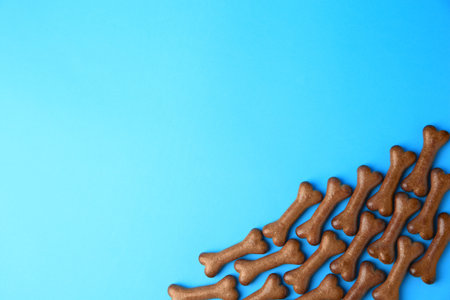 Bone shaped dog biscuits on light blue background, flat lay. Space for textの写真素材
