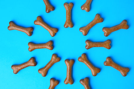 Bone shaped dog biscuits on light blue background, flat layの写真素材