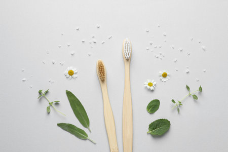 Bamboo toothbrushes, beautiful chamomile flowers, sea salt and herbs on white background, flat lay