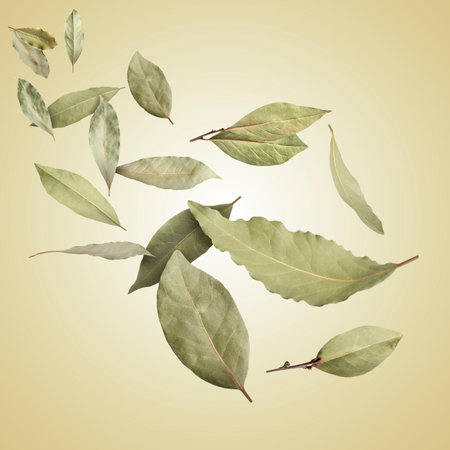 Dry bay leaves falling on pale goldenrod gradient backgroundの写真素材