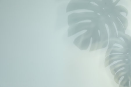 Shadow of monstera plant leaves on light background, space for textの写真素材