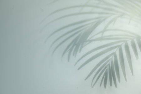 Shadow of tropical plant leaves on light background, space for text
