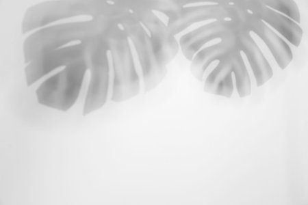 Shadow of monstera plant leaves on light background, space for text