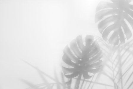 Shadow of tropical plants on light background, space for text