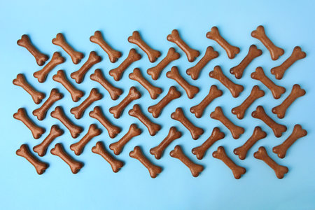 Flat lay composition with bone shaped dog cookies on light blue backgroundの写真素材