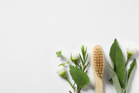 Flat lay composition with toothbrush and herbs on white background. Space for text