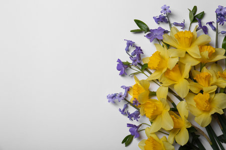 Beautiful yellow daffodils and periwinkle flowers on white background, top view. Space for textの写真素材