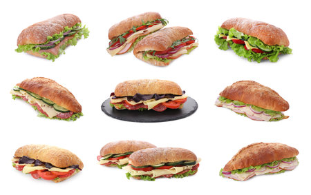 Collage with different delicious sandwiches on white backgroundの写真素材