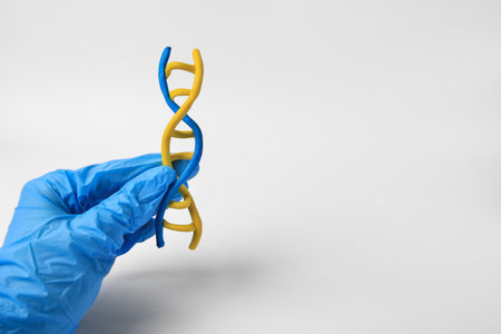 Scientist holding DNA molecule model made of colorful plasticine on white background, closeup. Space for textの写真素材