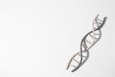 DNA molecule model made of colorful plasticine on white background, top view. Space for textの写真素材