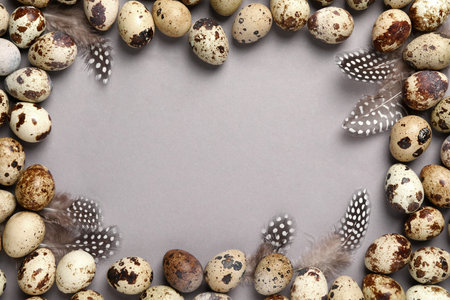 Frame made of speckled quail eggs and feathers on light gray background, flat lay. Space for textの写真素材