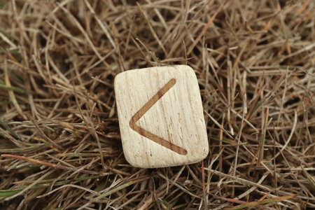 Wooden rune Kauna on dry grass outdoors, closeupの写真素材