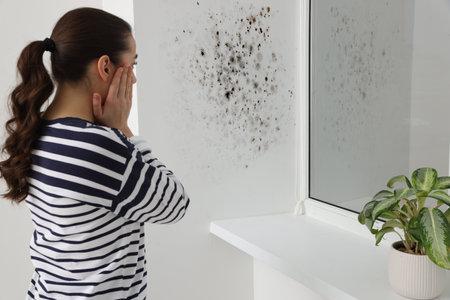 Shocked woman looking at affected with mold window slope in roomの写真素材