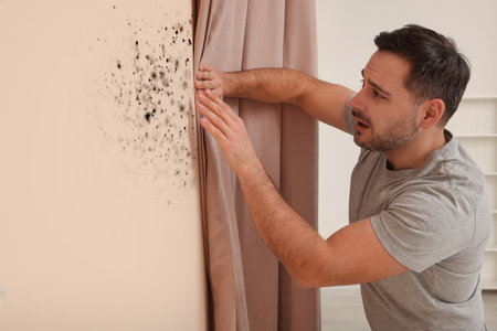 Man looking at affected with mold wall in roomの写真素材